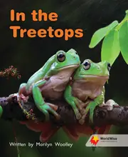 In the Treetops
