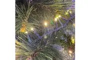 Premier 500 LED Tree String Lights Warm White