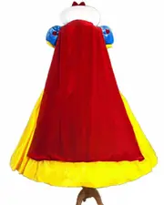 Deluxe Snow White Movie Princess Costume