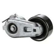 Alliant Power ap63519 Belt Tensioner, 6.4 L for Ford (for: Ford)