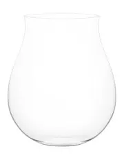 Plumm Gin Glass Set of 4 in Clear
