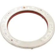600095 Kit Replacement Led Face Ring with Clamp/Gasket Pool Light
