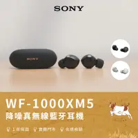 在飛比找蝦皮購物優惠-【小牛3C】Sony WF-1000XM5 降噪真無線降藍牙