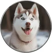Fridge Magnets, Husky Piquant Dog Printed Fridge Magnets,Decorative Fridge Magnets,Round Fridge Magnets