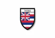 PATCH PATCHES EMBLEM IRON ON GLUE PRINT FLAG world crest usa hawaii