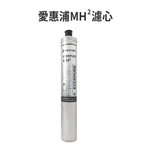 EVERPURE愛惠浦【公司貨】【下單領10%蝦幣回饋相當於打9折】咖啡機專用MH2濾心【 9000加侖】