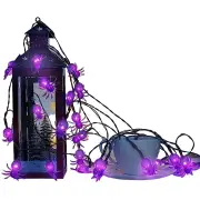 NNETM Solar-Powered Spider String Lights for Spooktacular Nights