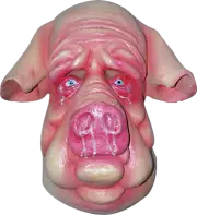 Infected Oozing Rabid Pork Zombie Ghoulish DELUXE ADULT LATEX OINK PIG MASK