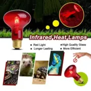 InfraRed Solar Basking Spot Reptile Heat Lamp (E27) Bulb Vivarium Light Nice