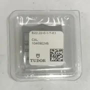 Rolex Tudor Buckle 22-22 New Sealed Genuine