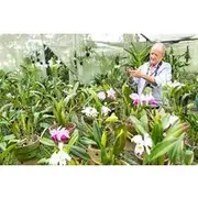 Save 20.00%! Finca la Romelia Orchids and Birding