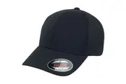 Flexfit Unisex Adult Alpha Shape Baseball Cap (Black) - UTRW8084