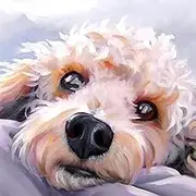 Diymood painting 5D Diamond Painting Dog Puppy, Paint with Diamonds DIY Diamond Art Animal, by Numbers Kits Full Drill Rhinestone for Home Wall Decor 30x30