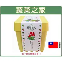 在飛比找momo購物網優惠-【蔬菜之家】iPlant小農場系列-小品菊(可任意組合盆栽)