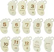 Ipotkitt Spring Theme Bee Footprint Flower Animal Photo Frame Wooden Cutout Cabochons for Jewelry Painting Art