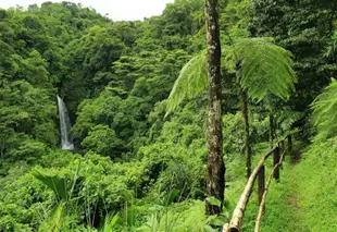 塔維達別墅旅館