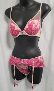 NWT Heidi Klum Sun Kissed Rose Dust Bra Size 14B Thong Size L Suspender Size M