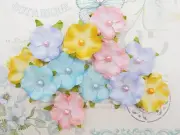 SWEETIES - 12 Pack Mix 3 of each colour Pearl Centre 35cm Across ManorHouse ConA