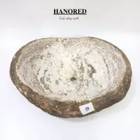 在飛比找蝦皮購物優惠-Hanored 高品質單石花盆,用於種植石蓮花、仙人掌、微型