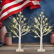 2-Pack 2FT Lighted Birch Tree with Timer for Easter Decorations, Artificial Birch Tree with 48 LED Warm White Lights, Tabletop Centerpiece Tree for Xmas Easter