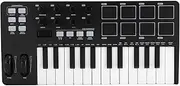 USB MIDI Keyboard Controller, 25 Key Portable Mini MIDI Keyboard with 8 Drum Pads, LED Display, Arpeggiator, Velocity Control, for Mac, PC, Phone