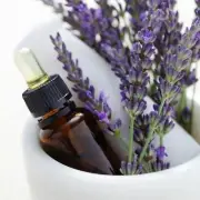 Organic Kashmir Lavender Oil Kashmiri Lavender Essential Oil 20 ML Aromatherapy