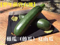 在飛比找松果購物優惠-【整年供貨有機櫛瓜（節瓜）夏南瓜】天婦羅及焗烤必敗聖品 - 