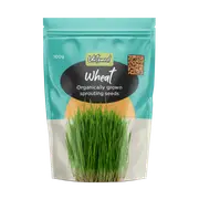 Untamed Health Wheat Sprouting Seeds 100g