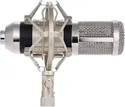 Labymos Professional Studio Broadcasting Condenser Microphone Mic Kit Set 3.5mm with Shock Mount Adjustable Suspension Scissor Arm Stand Mounting Clamp Pop Filter Mic Clip