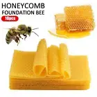 10 Bee Hive Wax Frames Beeswax Foundation for Honeycomb Sheet Beekeep Prof K4