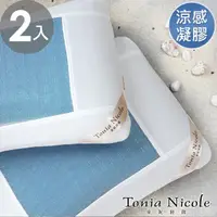 在飛比找momo購物網優惠-【Tonia Nicole 東妮寢飾】涼夏凝膠枕(2入)