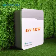 5kwh 10kwh Lifepo4 Litium Power wall 48v 100ah 200ah Lithium-ion Batteries For House Solar System
