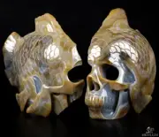 AWESOME 7.6" Agate Geode Carved Crystal Fish Skull, Crystal Healing