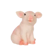 Northcote Pottery 12cm Pig Garden Statue
