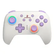 ANBERNIC RG P01 Tri-mode Wireless Game Controller Six-axis Hall Joystick and Trigger Gamepad RGB Light Support Vibration
