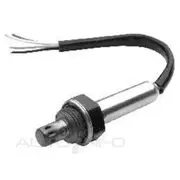 RAE Oxygen Sensor - OX384
