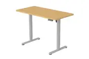 FORTIA Sit To Stand Up Standing Desk, 120x60cm, 72-118cm Electric Height Adjustable, 40kg Rated, White Oak Style/Silver Frame