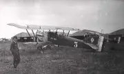 Potez 15 French Biplane Reconnaissance Bomber Mahogany Kiln Wood Model Small New