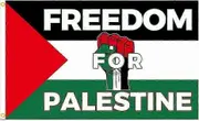 Free Palestine Fist Flags,3x5 Ft Palestine Country Free Freedom Fist Flag, I Stand With Palestine Flag-MXBC Style 3