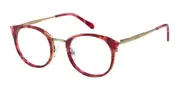 Radley RDO 6015 162 Men's Glasses Tortoiseshell Size 49 - Private Health Rebate - Blue Light Block Available