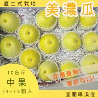 在飛比找台灣好農優惠-【踏踏青農場】美濃瓜-中果(10斤/箱)