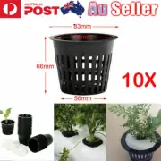 10x 3" Heavy Duty Mesh Pot Net Cup Basket Hydroponic Aeroponic Plant Grow Clone