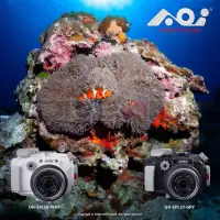 在飛比找蝦皮購物優惠-AOI潛水相機殼 HOUSING for Olympus e