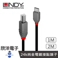 在飛比找蝦皮商城優惠-LINDY林帝 Type-C to B USB2.0 Typ