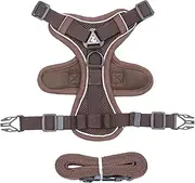 Cat Harness with 1.5m Traction Leash for Small Medium Dog No Pull Breathable Reflective Adjustable