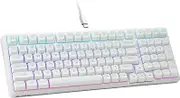 HUO JI E-Yooso Creamy Mechanical Keyboard Wired, Hot Swappable, Pre-lubed Linear Switches, Gasket Structure with Sound Dampening Foam, RGB Backlit, 99 Keys Custom Gaming Keyboard for PC/Mac,White