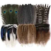48Pcs Natural Feathers Bulk Assorted Natural Feathers for Craft DIY Jewelry Hat