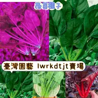 在飛比找蝦皮購物優惠-台園 【開發票】收據 免運【菠菜種子】易種菠菜種子青菜耐熱耐