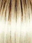 DEBUTANTE WIG Gabor $SALE GL23/101SShadedRootSunkissBeigeTem-TempleLaceFtMonoTp