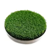 Golf Hole Cup Putting Green for Backyard Practice Putting Green Hole Simulated